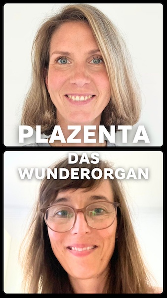 plazenta